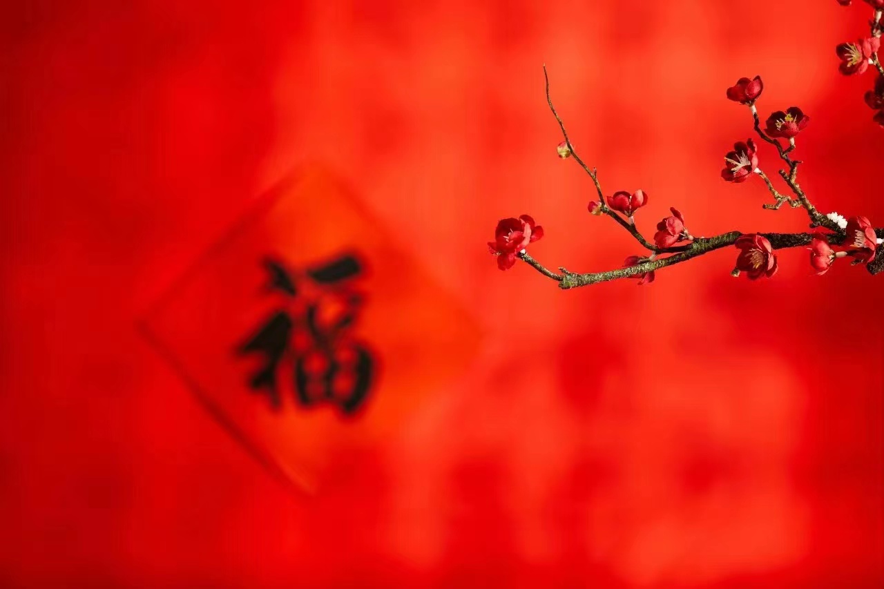 最美卓瀛人恭祝大家------過年好